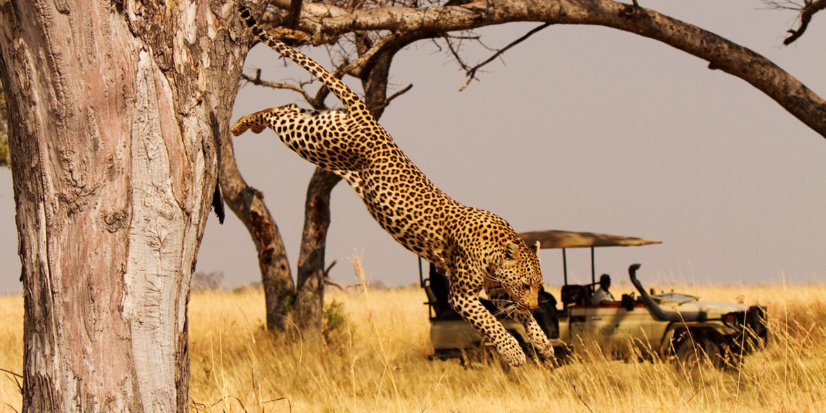 Akagera Big Five Safari