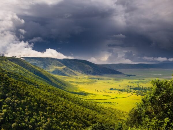 Ngorongoro Crater & Tarangire Combo