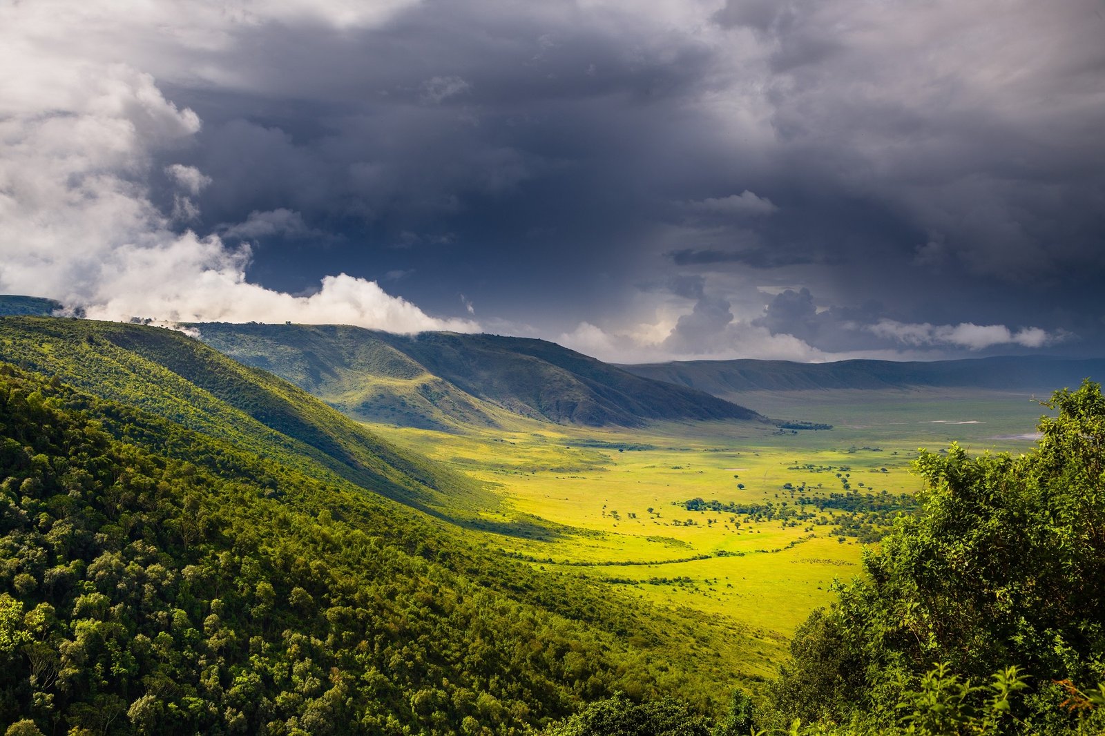 Ngorongoro Crater & Tarangire Combo