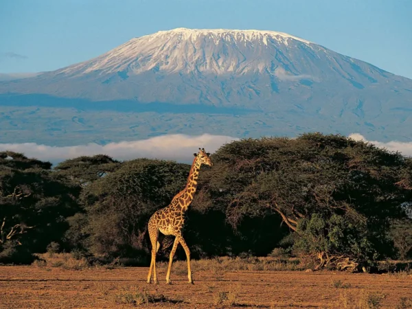 Kilimanjaro Machame Route Trek