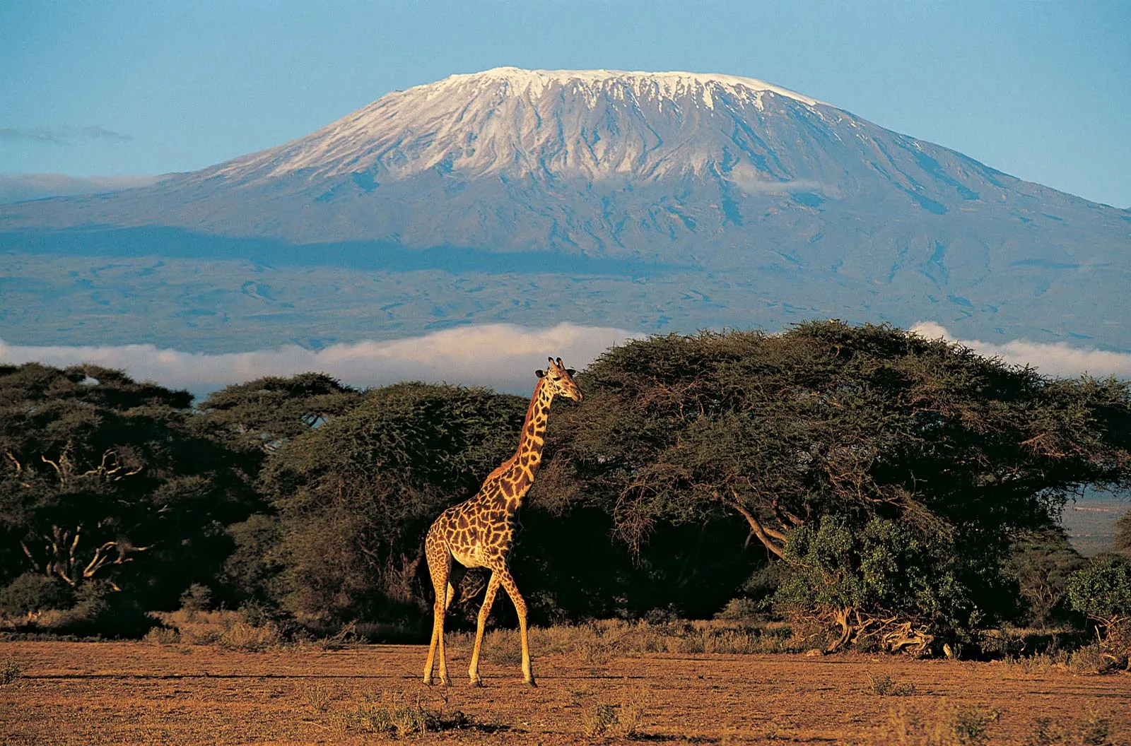 Kilimanjaro Machame Route Trek