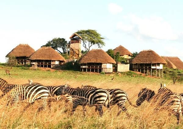 Uganda Primates Grand Circuit