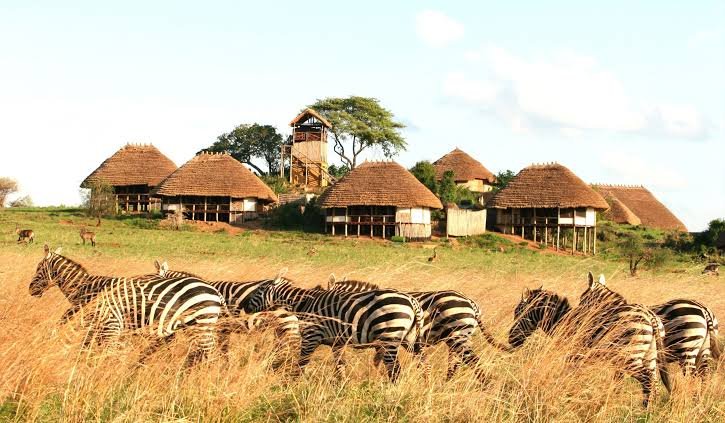Uganda Primates Grand Circuit