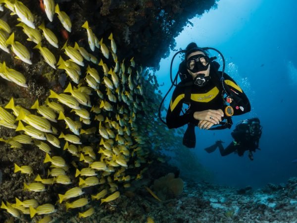 Mnemba Atoll Diving Adventure