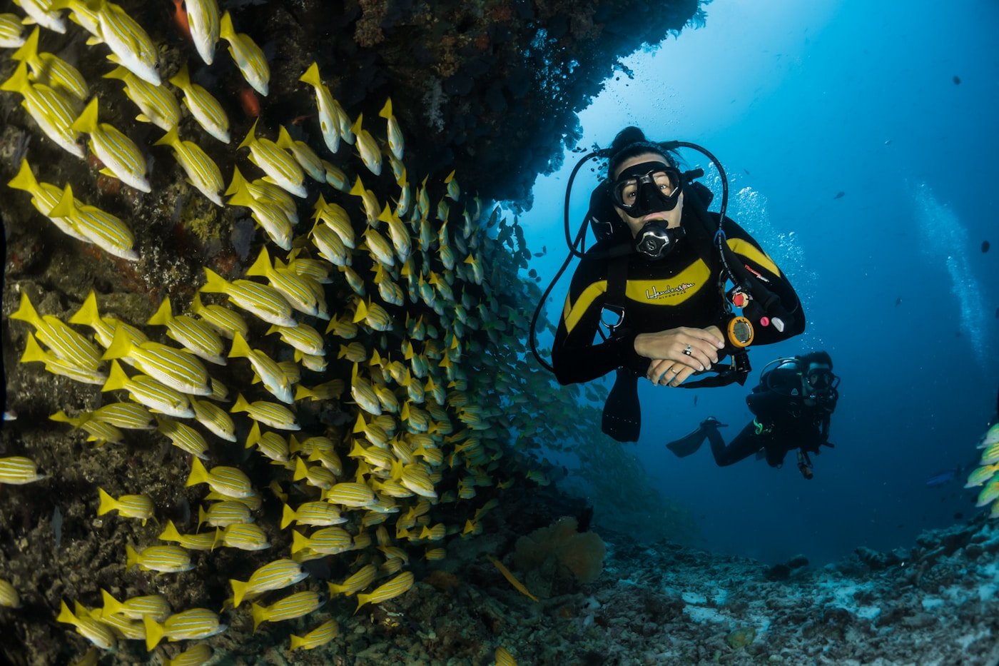 Mnemba Atoll Diving Adventure